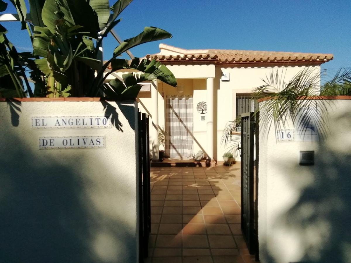 Guest House El Angelito De Olivas เปเดรเกร์ ภายนอก รูปภาพ